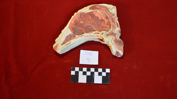 Adriano Jose Reis Martins - Economia - Exportação de carne bovina cai 27,1% em agosto com cota chinesa se esgotando