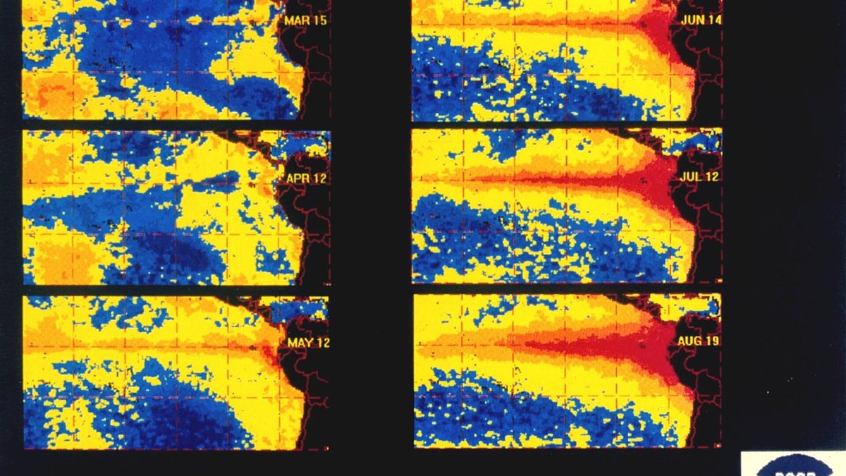 Adriano Jose Reis Martins - Mundo - ONU prevê El Niño “muito forte” com duração até fevereiro de 2027