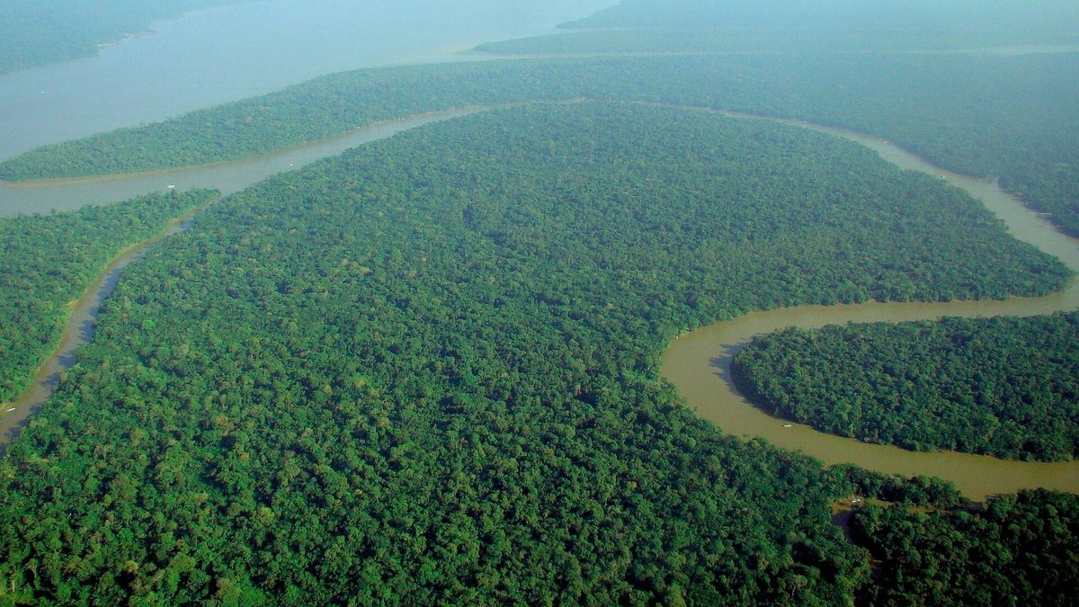 Adriano Jose Reis Martins - Meio Ambiente - Reino Unido anuncia 400 milhões de libras para o Fundo Florestas Tropicais para Sempre