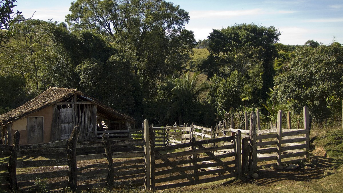 Jaime Fernando Reis Martins - Praga de mosca-do-estábulo mata gado e sufoca pecuaristas em SP